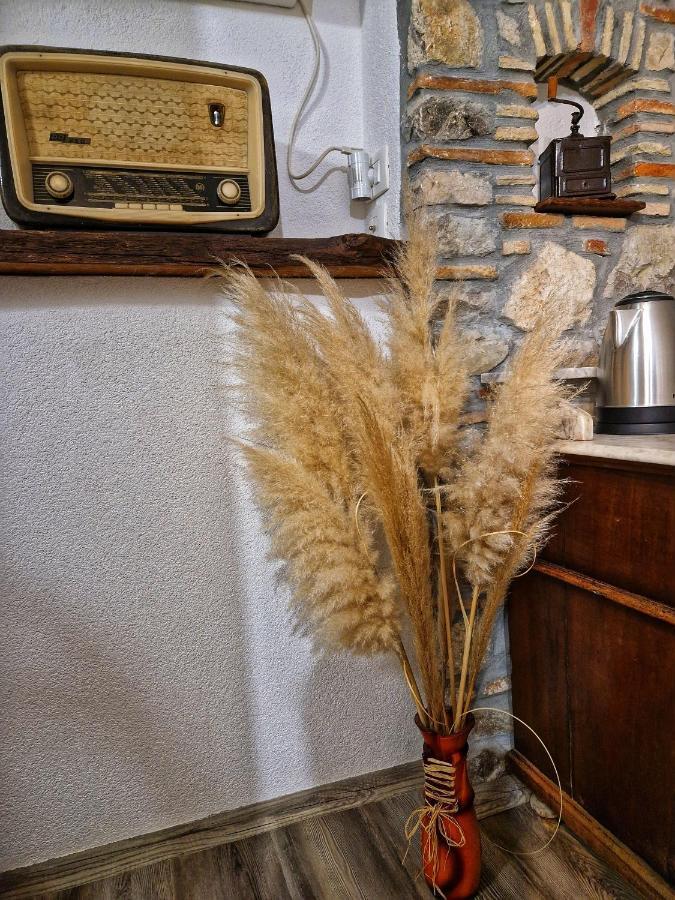 Casa Luana Βίλα Roč Εξωτερικό φωτογραφία